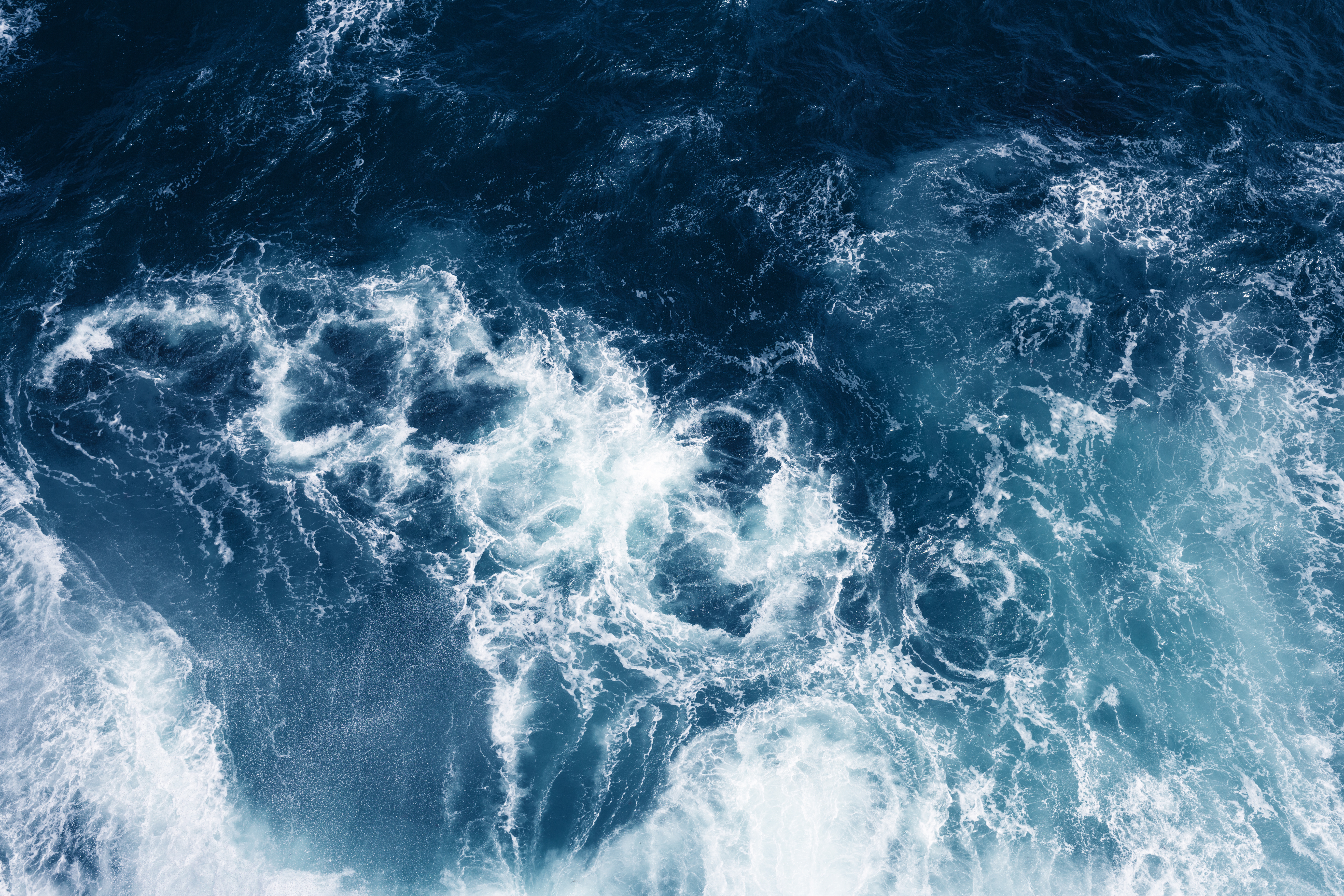 Braving the High Seas